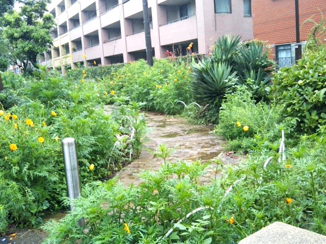 f:id:nonamed:20170817132547j:plain