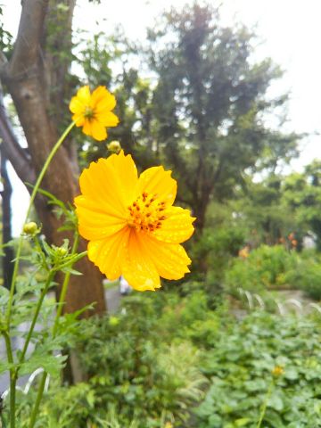 f:id:nonamed:20170817132622j:plain