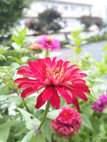 f:id:nonamed:20170907222817j:plain