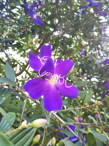 f:id:nonamed:20170915114850j:plain