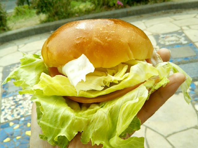 f:id:nonamed:20170919163523j:plain f:id:nonamed:20170919163523j:plain