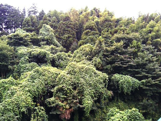 f:id:nonamed:20170921155833j:plain