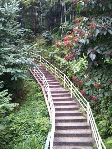 f:id:nonamed:20170921155935j:plain