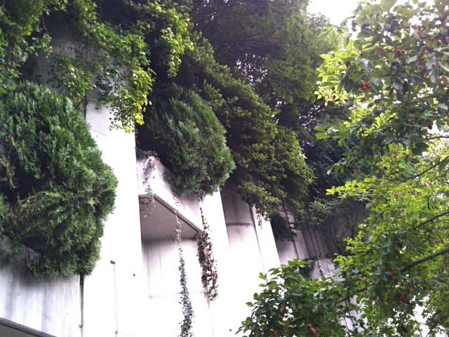 f:id:nonamed:20170921160028j:plain