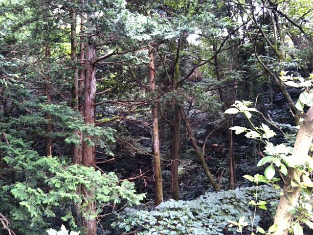 f:id:nonamed:20170921160234j:plain