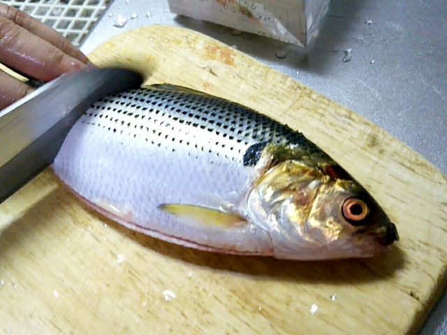 f:id:nonamed:20170923171515j:plain