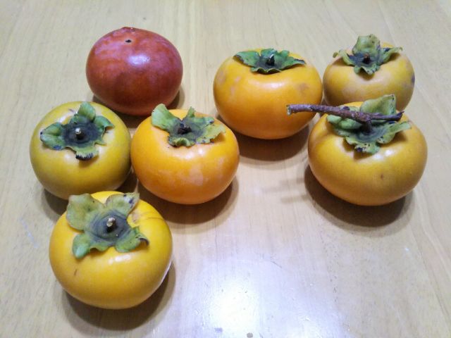 f:id:nonamed:20171002103426j:plain