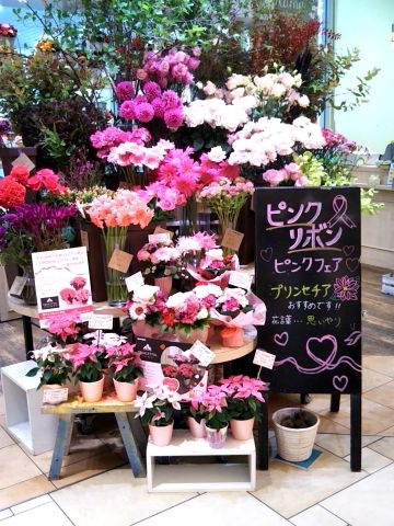 f:id:nonamed:20171015175320j:plain