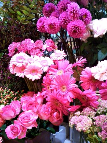 f:id:nonamed:20171015175440j:plain