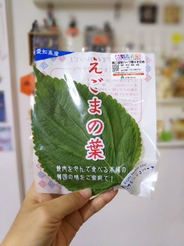 f:id:nonamed:20171016190223j:plain