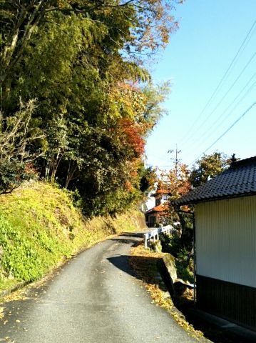 f:id:nonamed:20171113104610j:plain