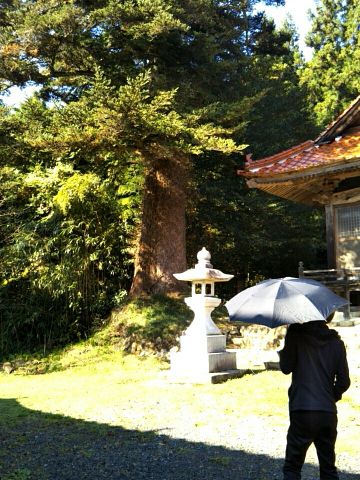 f:id:nonamed:20171113131941j:plain