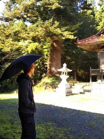 f:id:nonamed:20171113132145j:plain