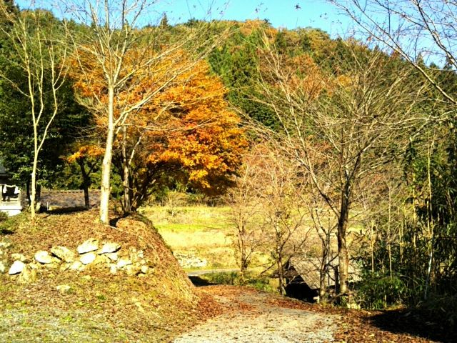 f:id:nonamed:20171113132618j:plain