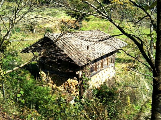 f:id:nonamed:20171113134159j:plain