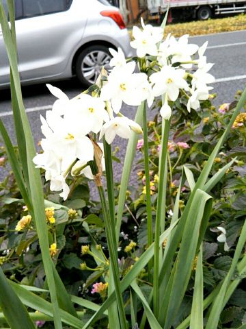 f:id:nonamed:20171208202640j:plain