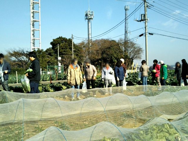 f:id:nonamed:20171216202354j:plain f:id:nonamed:20171216202354j:plain