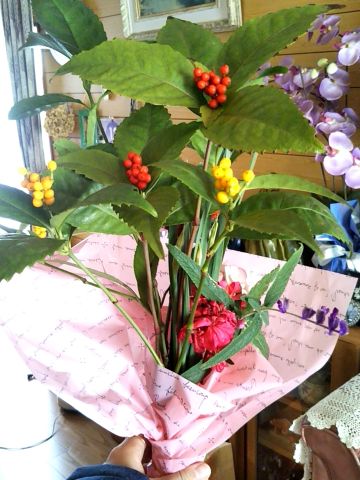f:id:nonamed:20171223003226j:plain
