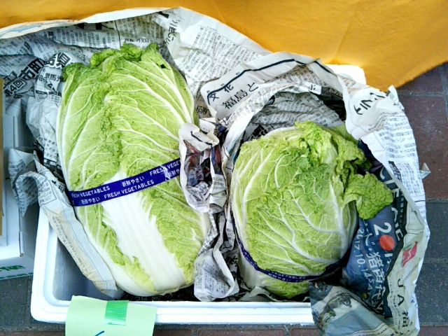 f:id:nonamed:20171226171156j:plain