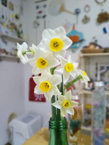 f:id:nonamed:20180102191503j:plain