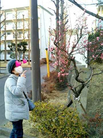 f:id:nonamed:20180214095434j:plain