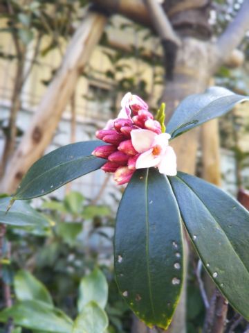 f:id:nonamed:20180301200317j:plain
