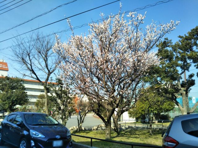 f:id:nonamed:20180303113207j:plain