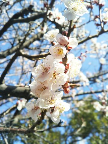 f:id:nonamed:20180303113911j:plain