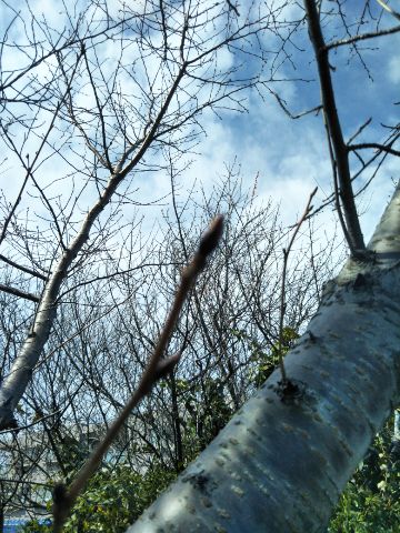 f:id:nonamed:20180305183407j:plain f:id:nonamed:20180305183407j:plain