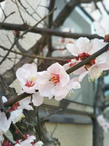 f:id:nonamed:20180305183814j:plain f:id:nonamed:20180305183814j:plain