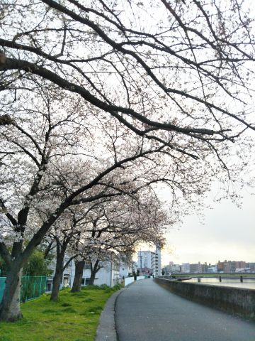 f:id:nonamed:20180323183735j:plain