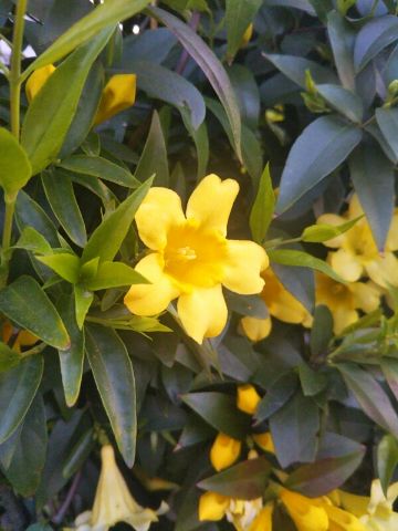 f:id:nonamed:20180415010230j:plain