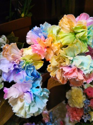 f:id:nonamed:20180508195923j:plain