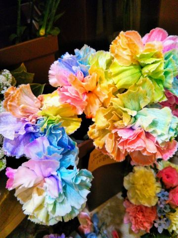 f:id:nonamed:20180508200037j:plain