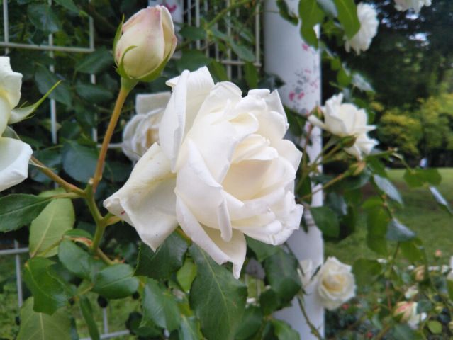 f:id:nonamed:20180521014541j:plain