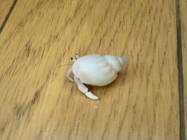 f:id:nonamed:20180619214600j:plain
