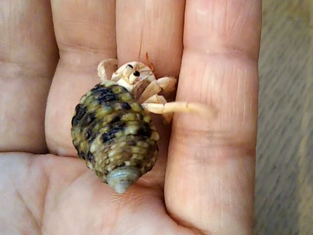 f:id:nonamed:20180620175343j:plain