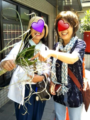 f:id:nonamed:20180622134325j:plain
