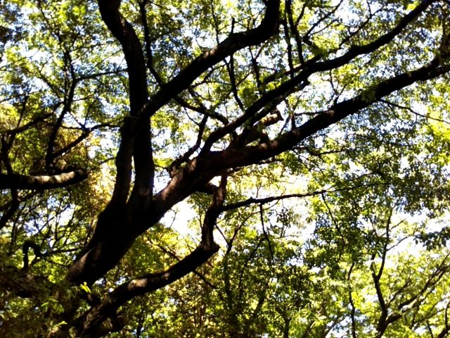 f:id:nonamed:20180623215612j:plain