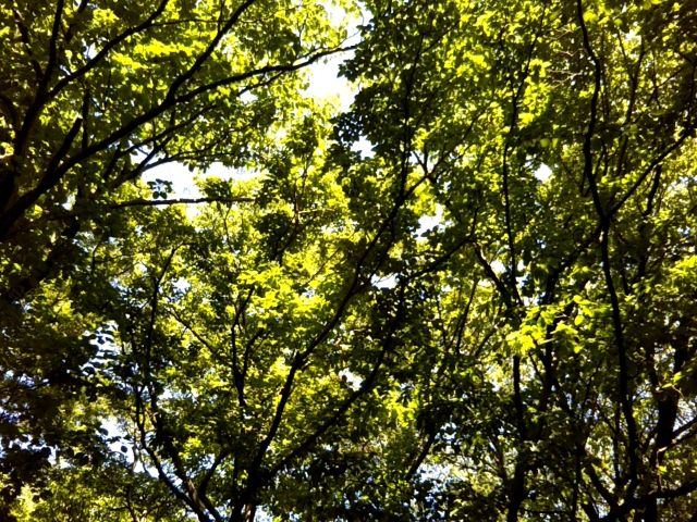 f:id:nonamed:20180623220236j:plain