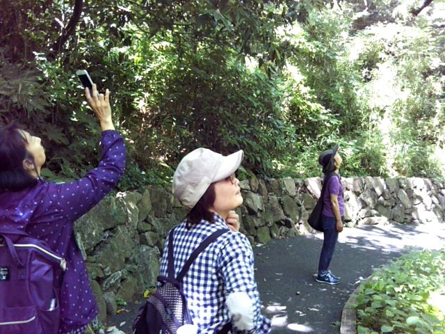 f:id:nonamed:20180623220321j:plain