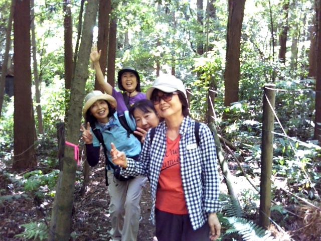 f:id:nonamed:20180623220718j:plain