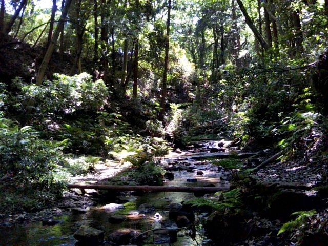 f:id:nonamed:20180623225549j:plain
