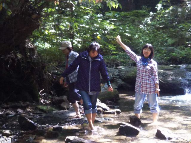 f:id:nonamed:20180623231747j:plain