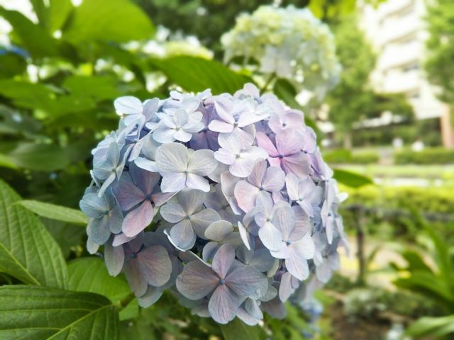 f:id:nonamed:20180625211321j:plain