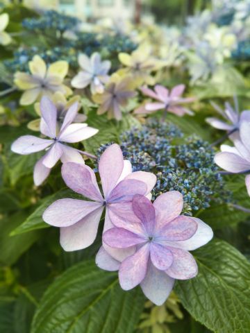 f:id:nonamed:20180625211746j:plain