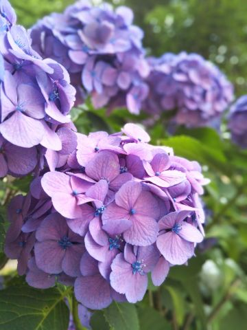 f:id:nonamed:20180625215727j:plain