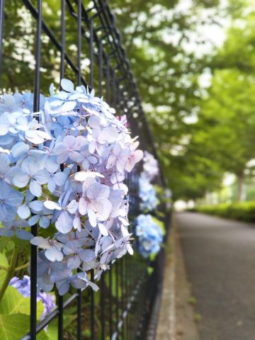 f:id:nonamed:20180625220203j:plain
