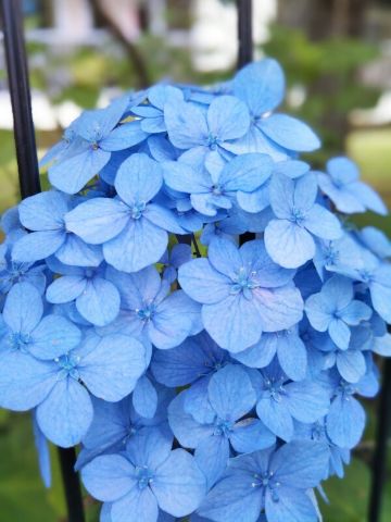 f:id:nonamed:20180625220901j:plain