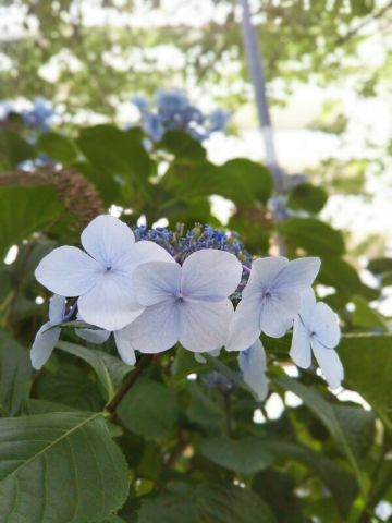 f:id:nonamed:20180625221737j:plain